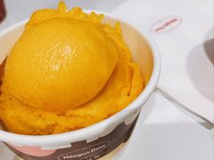 -哈根达斯(芳圆里店)