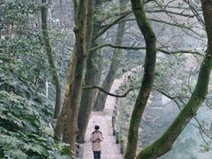 -潜山国家森林公园