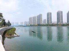 -五缘湾湿地公园