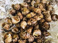 花螺-南沙十九涌渔人码头-南门