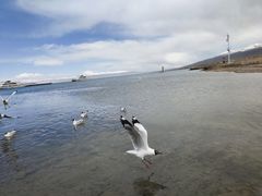 -青海湖二郎剑景区
