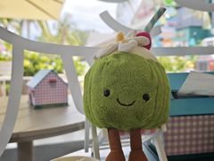 -冰椰岛椰冰(亚龙湾店)