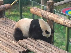 -大连森林动物园