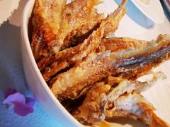 -上海宝华喜来登酒店·采悦轩中餐厅