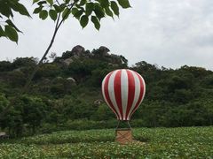 -丹樱生态园