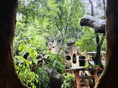 -天门沟九州驿站树上汤泉