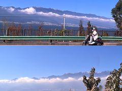 -小普陀