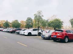 场地-前滩友城公园-停车场