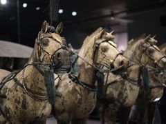 -秦始皇帝陵博物院-丽山园