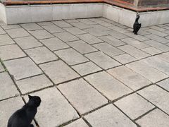 -伯先公园