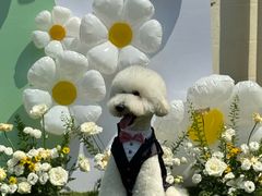 -J Create城市露营咖啡·简餐·宠物(上海动物园店)