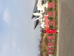 -盐城丹顶鹤湿地生态旅游区