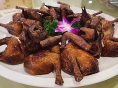 红烧乳鸽-新梅园不夜粥(龙华店)