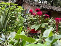 -小八仙·宴(三峡茶庄店)