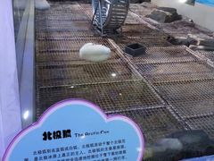 -台州海洋世界