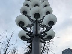 -重庆市江北嘴中央商务区中央公园