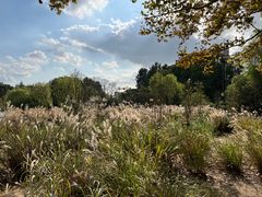 -世纪公园-世纪春沁园