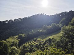 -敬亭山风景名胜区