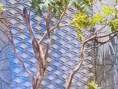 -徽镇小厨·经典徽菜(十里河店)