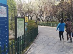 -西安市长乐公园