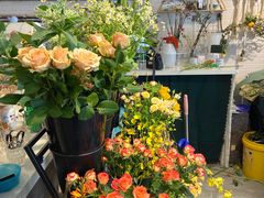 -之悦咖啡馆(新星宇·之洲店)