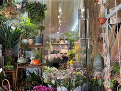 -循礼门鲜花花市(武汉循礼门店)