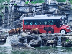 -北京野生动物园