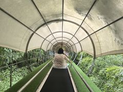 -藏龙百瀑风景区