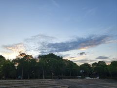 -上海吴淞炮台湾国家湿地公园