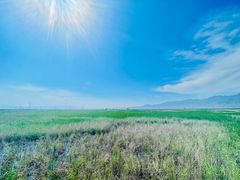 -野鸭湖国家湿地公园