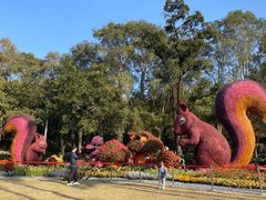 -广州市白云山风景名胜区