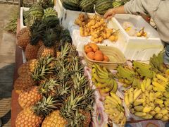 -瑞丽独树成林风景区