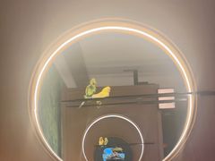 -小菜园新徽菜(青岛市南万象城店)