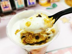-油梨树 AVOCADO TREE(亮马桥店)