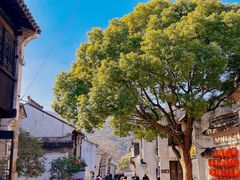 -惠山古镇·寄畅园