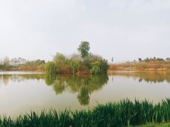 -白鹭湾湿地公园