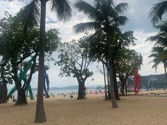 -大梅沙海滨公园