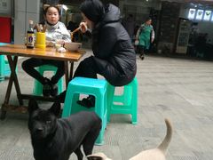 -蒋六十八梯眼镜面(渝中店)