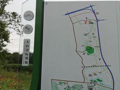 -桤木河湿地公园