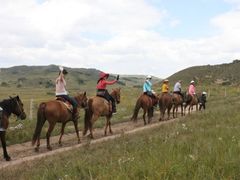 -塞罕坝国家级自然保护区