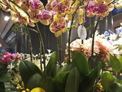 -Olé精品超市(广州太古汇店)