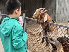 -保定市动物园
