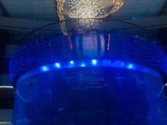 -OPEN開全日自助餐厅·牛肉火锅·海鲜(佛山希尔顿酒店)