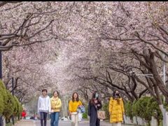 -山东师范大学(千佛山校区)