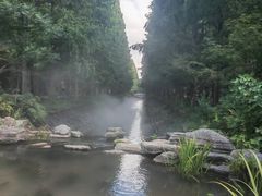 -东平国家森林公园