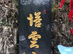 -塔云山