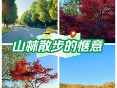 -南京市江宁方山