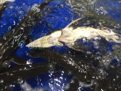 -蚝得喜海鲜(东城店)