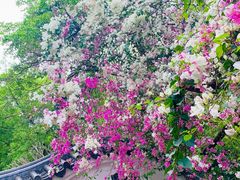 -深圳国际园林花卉博览园