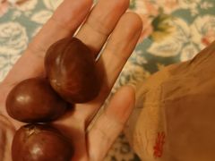 -秋栗香(地安门店)